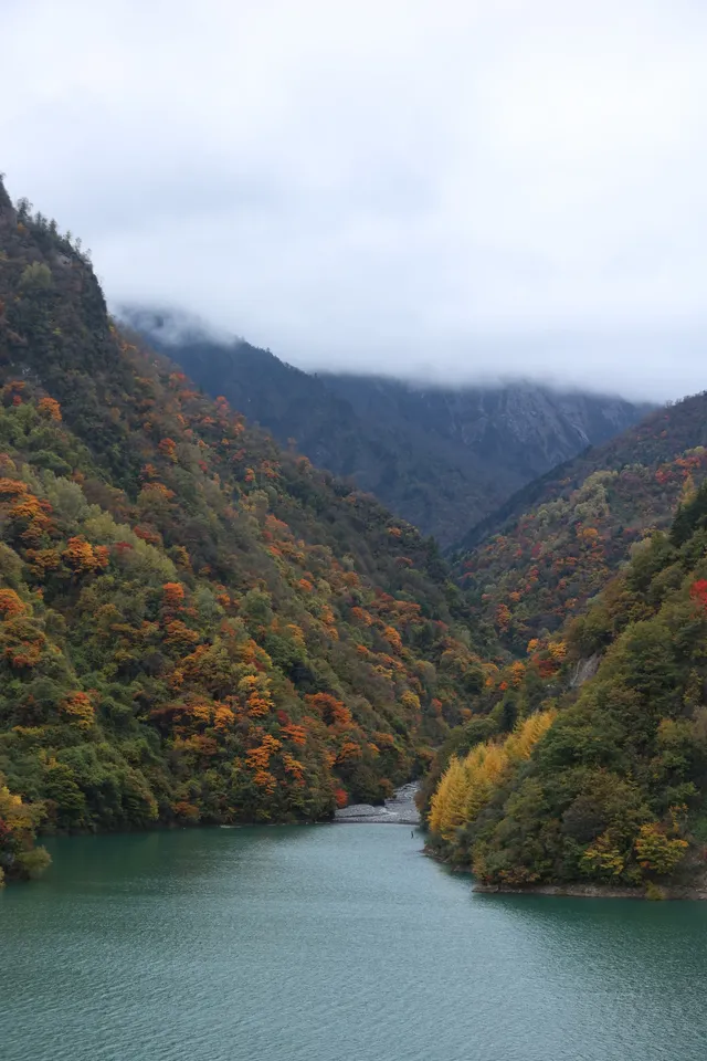川北綿陽平武賞秋|駛入彩林畫廊 川北綿陽平武賞秋|駛入彩林畫廊