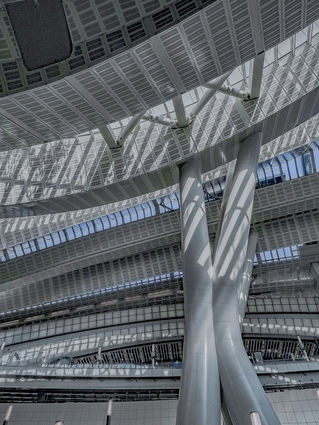 香港西九龍站候車廳美到誤高鐵！建築黨狂喜