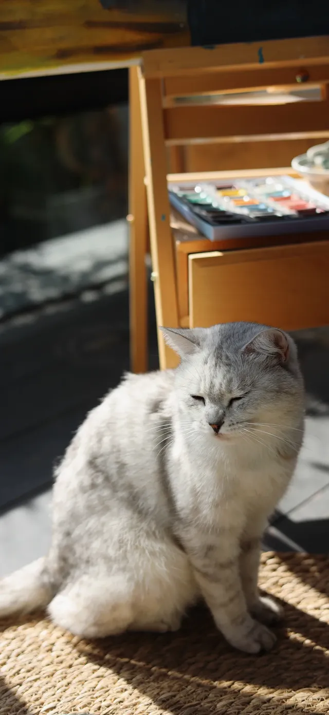杭州出發|第 站黃山腳下週末兩日賞秋景 杭州出發|第 站黃山腳下週末兩日賞秋景