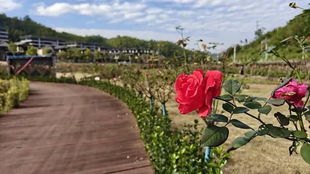 人均不到千元的隱世桃源 明月川溫泉酒店 人均不到千元的隱世桃源 明月川溫泉酒店