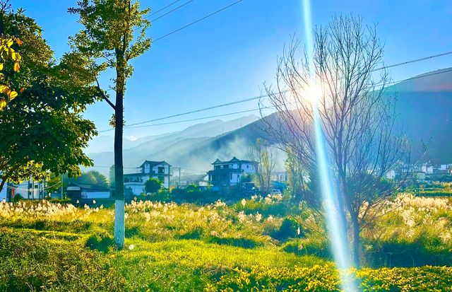 大理才是「懶人天堂」：不用趕行程，發呆、看雲、吃烤乳扇