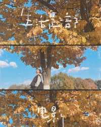 瀋陽出差偶遇的溫柔，藏在豪澤與莫子山的秋裡