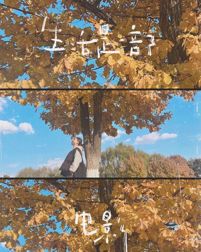 瀋陽出差偶遇的溫柔，藏在豪澤與莫子山的秋裡