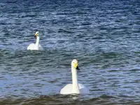 18張圖記錄我的賽里木湖庫爾德寧冰雪之旅