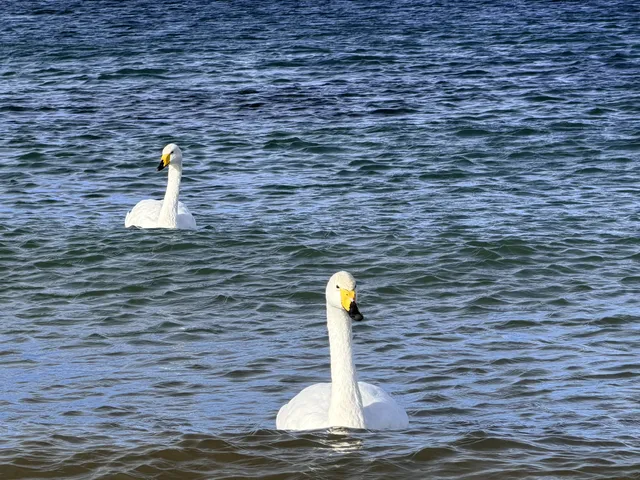 18張圖記錄我的賽里木湖庫爾德寧冰雪之旅 18張圖記錄我的賽里木湖庫爾德寧冰雪之旅