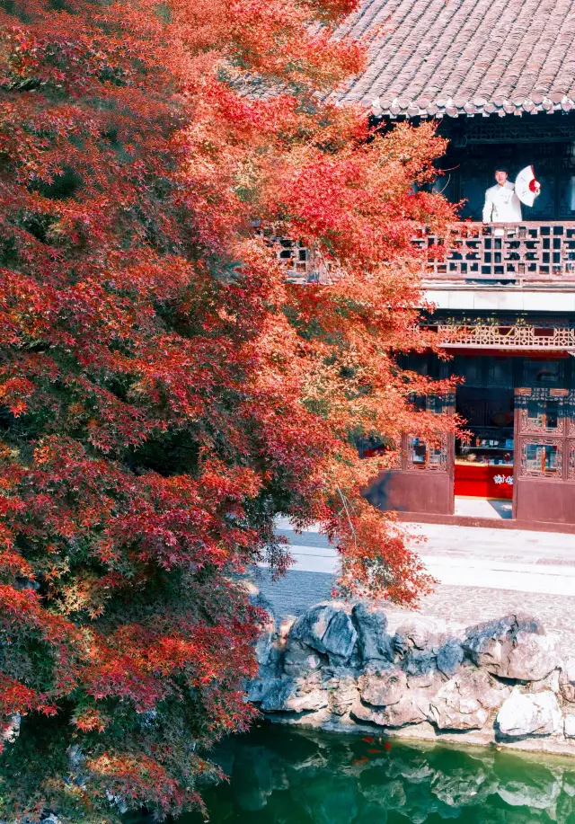 Yangzhou's Autumn Highlight! Heyuan's Red Maples Are Stunningly Beautiful, Speechless, with Photo Spots Included