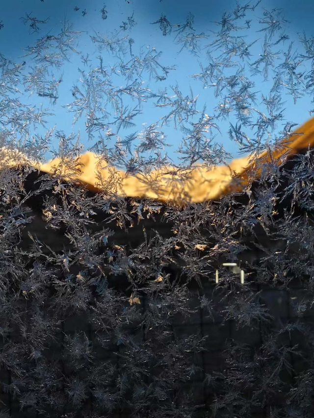 太幸運了吧，不僅看到了日出還看到了冰花