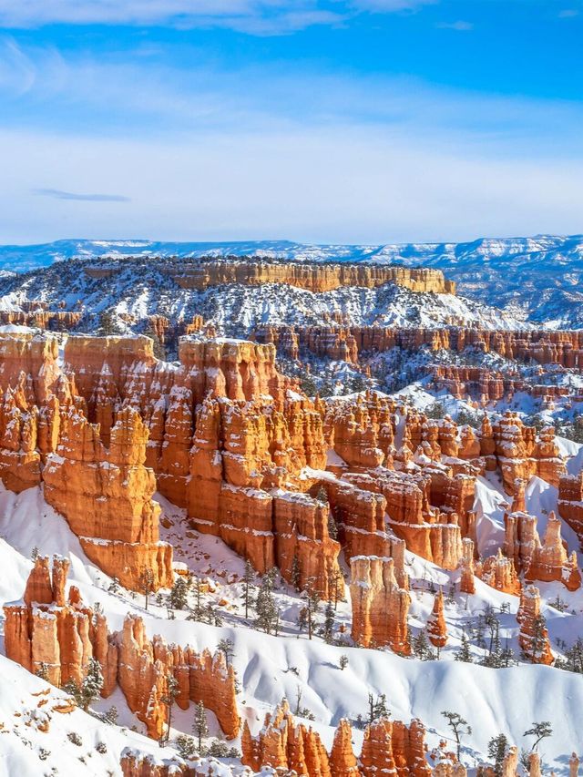 NBA聖誕大戰+美西冬黃石13天