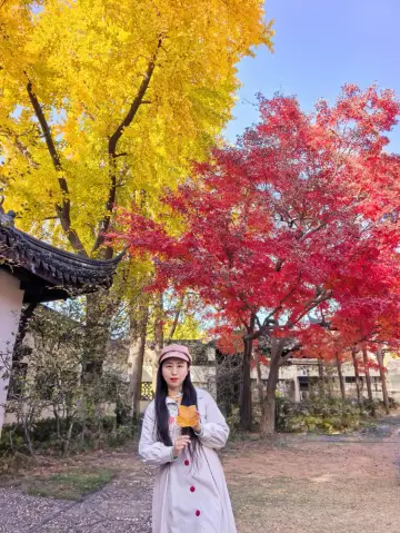 莫愁湖番茄炒蛋巨出片機位詳解