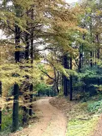 登頂東崗山,邂逅雲海、風車與滿目青翠。