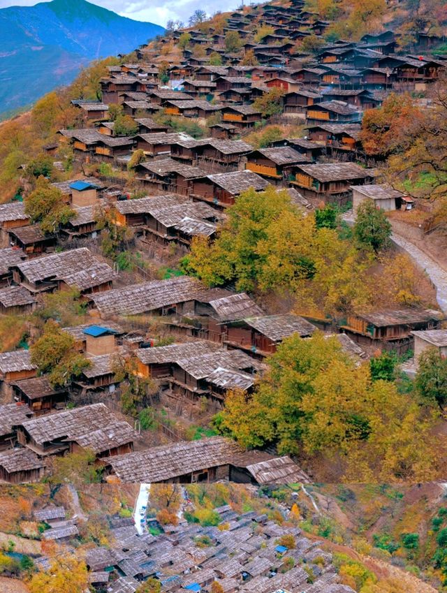 被一張圖騙來雲南!真的美到窒息!!! 被一張圖騙來雲南!真的美到窒息!!!