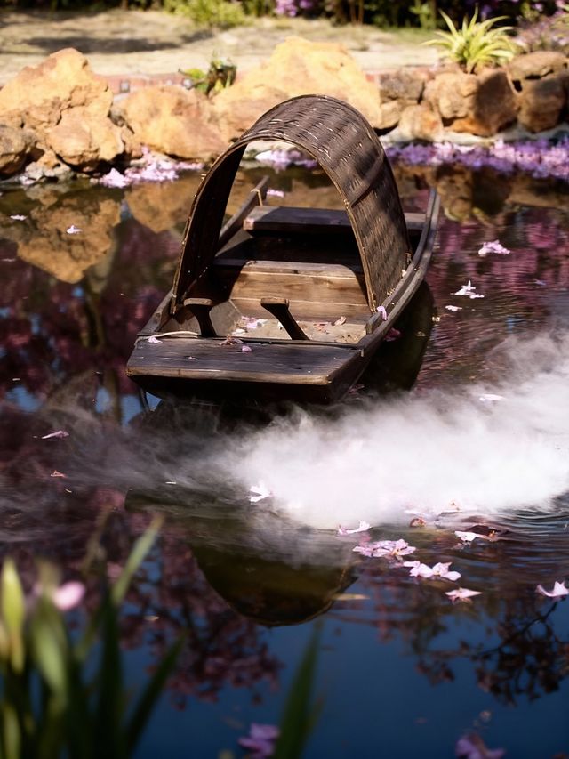 闖入油畫世界廣東這片紫粉花海美到窒息