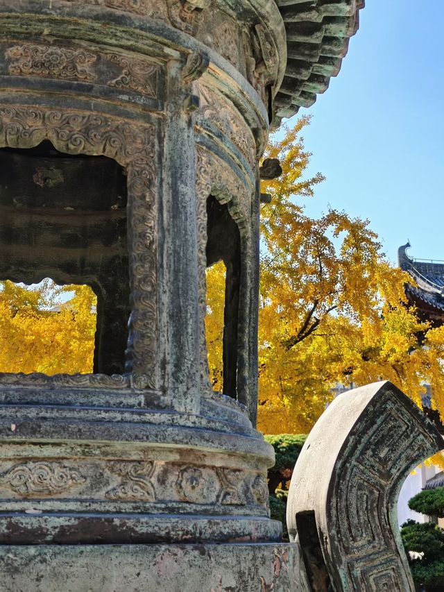 深秋的真如寺,藏著上海最溫柔的禪意 深秋的真如寺,藏著上海最溫柔的禪意