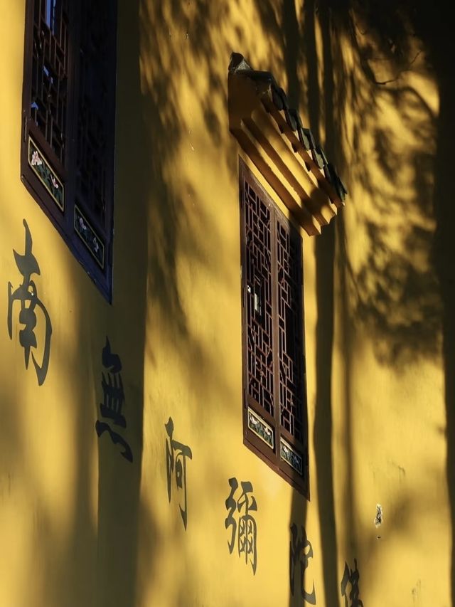 九華山封神民宿推窗見金佛,禪意直接拉滿 九華山封神民宿推窗見金佛,禪意直接拉滿