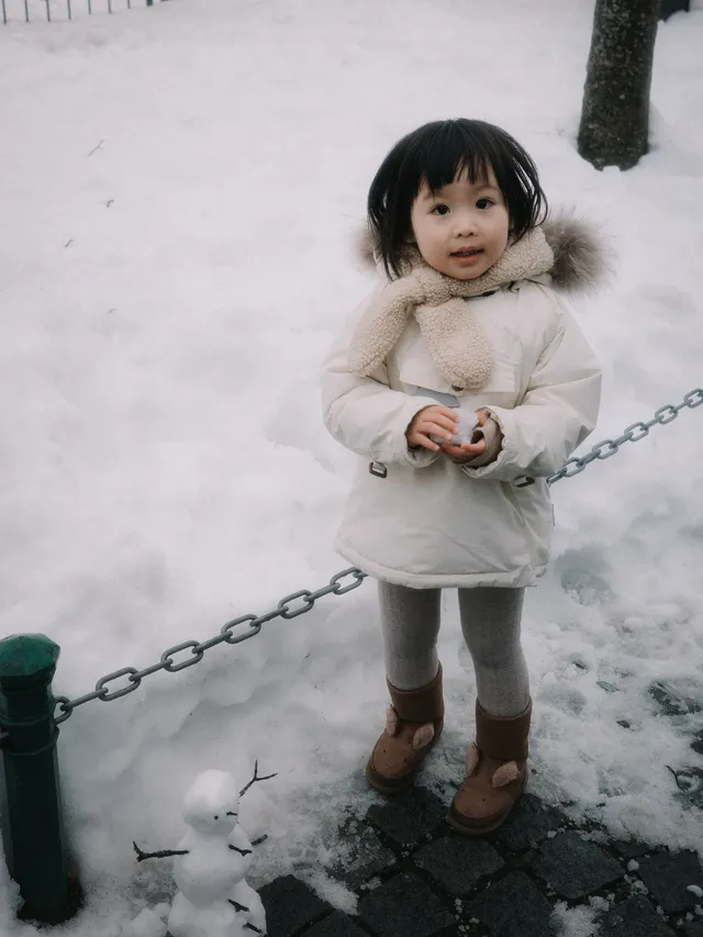 新天鵝堡夢幻冰雪城堡 新天鵝堡夢幻冰雪城堡