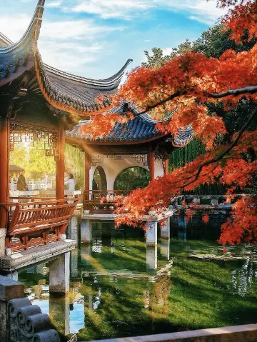 小眾滬版瘦西湖｜紅楓銀杏靚到爆！！魔都賞秋天花板