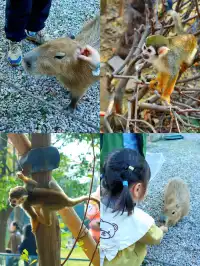 玩瘋了 | 兩天一夜龍之夢也太快樂了吧！