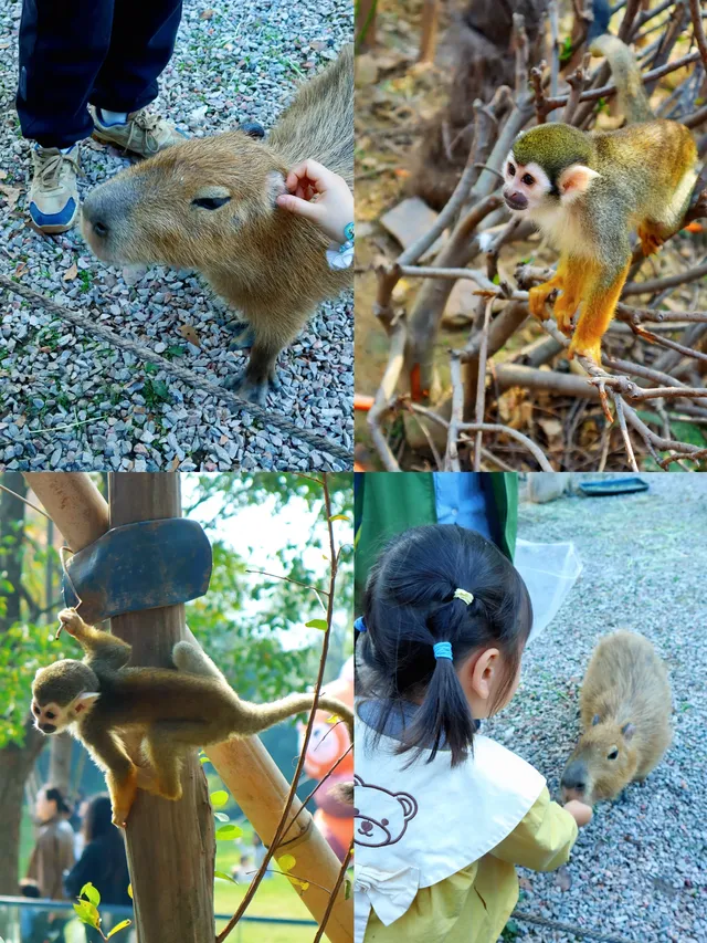 玩瘋了 | 兩天一夜龍之夢也太快樂了吧！