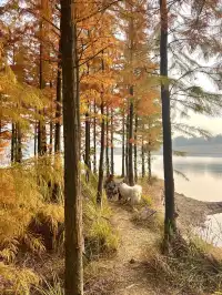 12.1實況live紹興鳳凰山美翻了!!!!!!