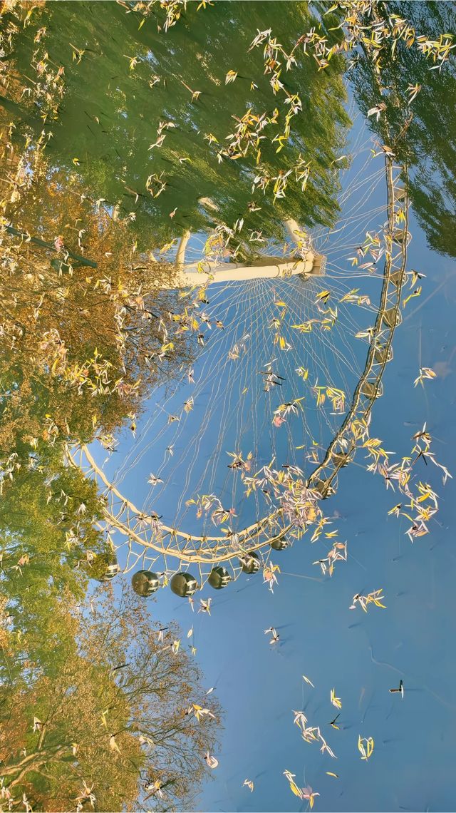 深秋限定合肥逍遙津的絕美金色童話 深秋限定合肥逍遙津的絕美金色童話