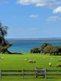 Melbourne週末好去處