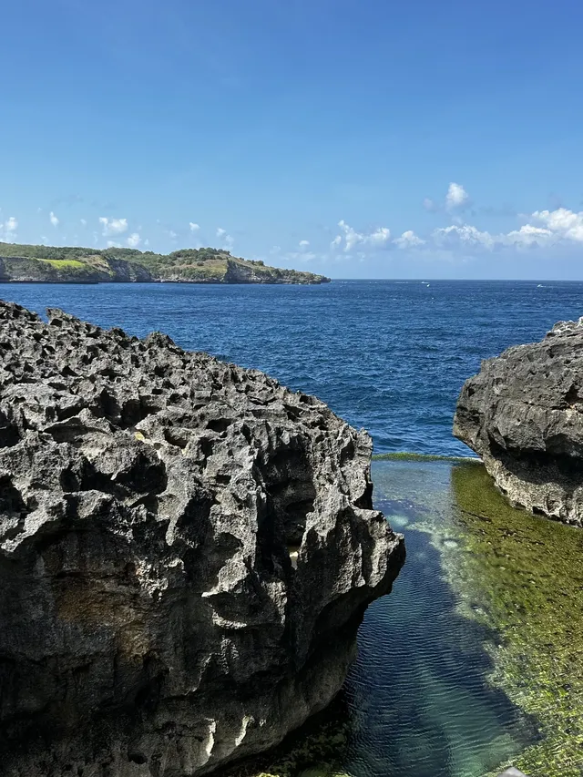 在巴厘島追到了!凌晨五點出海 被狠狠獎賞 在巴厘島追到了!凌晨五點出海 被狠狠獎賞