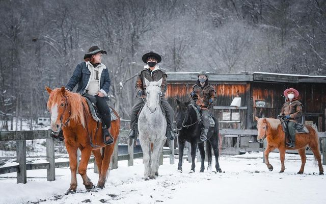 定山溪野馬騎行體驗 定山溪野馬騎行體驗