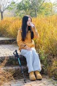 成都0.5h公交直達的秋日橘林徒步路線~#秋季去爬山南門