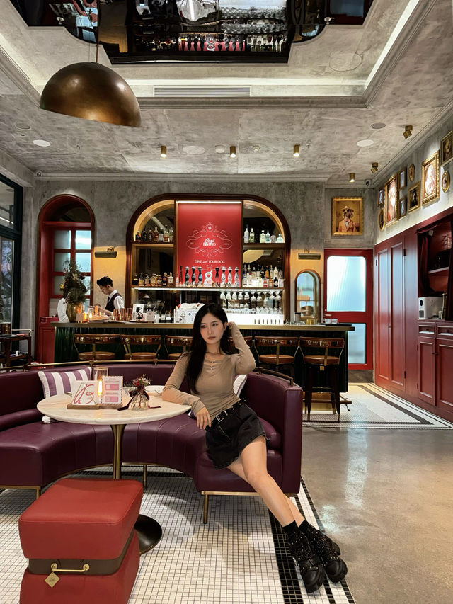 plog|跟毛孩子的聖誕漂亮飯囉 plog|跟毛孩子的聖誕漂亮飯囉