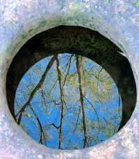 不敢想像這裡的夏天有多美