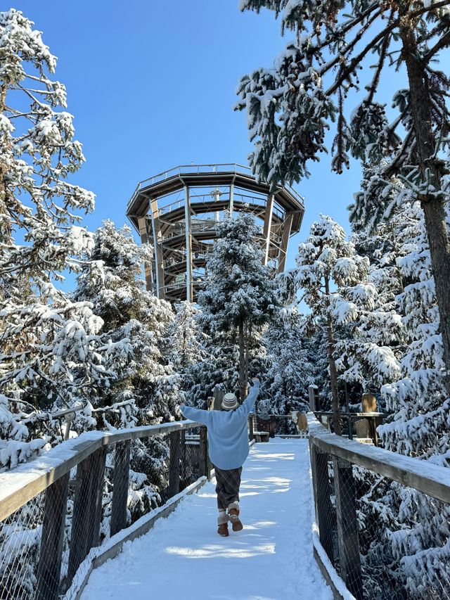 準備好來仙女山玩雪了嘛 準備好來仙女山玩雪了嘛