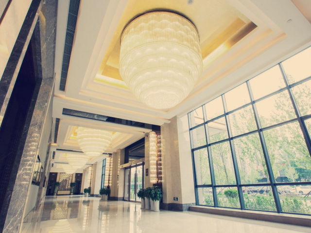 鳥巢旁的靜謐奢華體驗