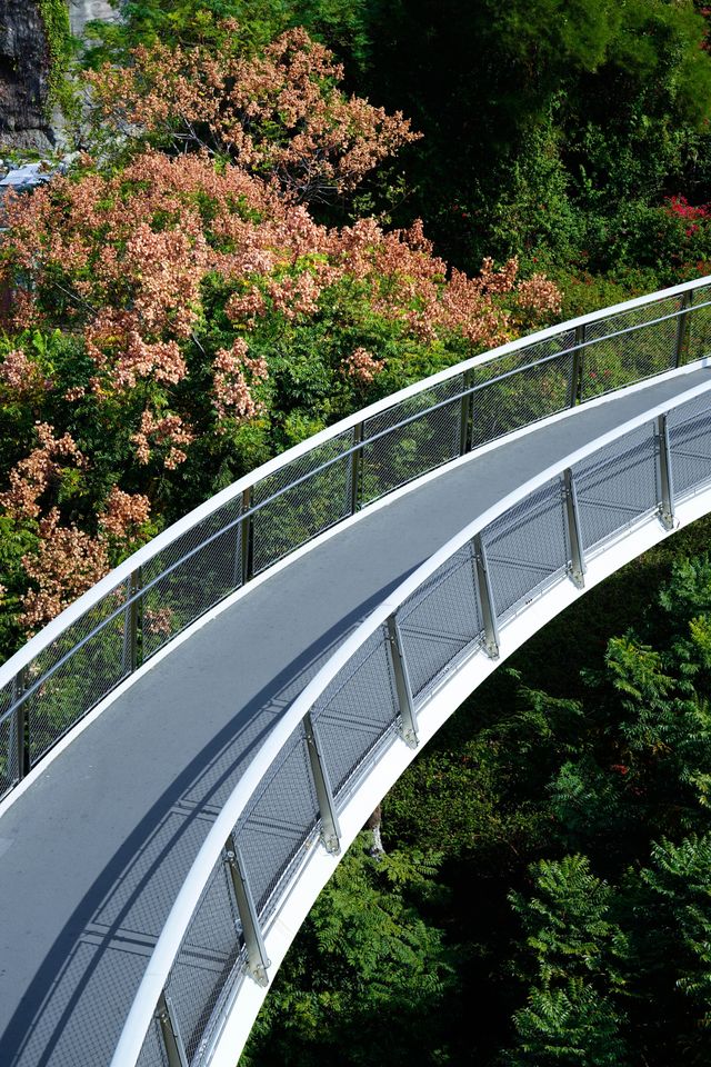 逃離城市喧囂廈門這條山海步道真的封神了