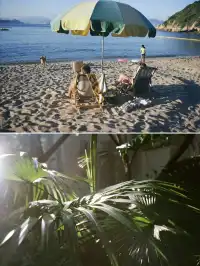 2025年膠片集 | 香港長洲島