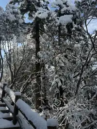 廣東高鐵1.5h直達！莽山霧淞不爬山攻略