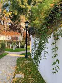 超全南京愚園冬日攻略！小眾玩法+拍照機位大公開