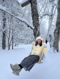 長白山雪嶺聖誕樹林裡的夢幻日落(附攻略)