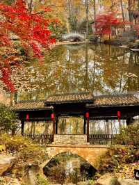 被問爆了!這個秋天在永泉小鎮,找到了江南最治癒的時光