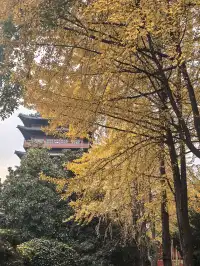 12.4安徽-包公祠-包大人草民來看您了