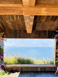 小眾浪漫天花板