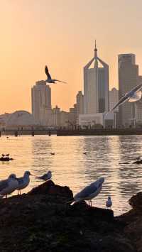 青島老城區賞鷗漫步指南：棧橋、八大峽與信號山的冬日浪漫