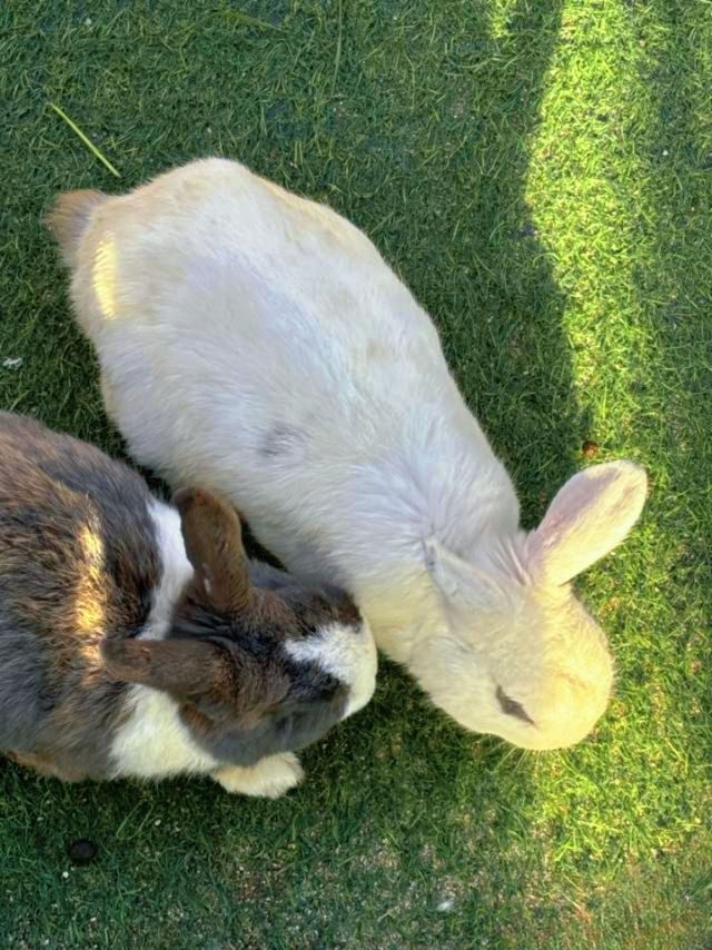 廈門小眾遛娃聖地集美果樂園一日遊攻略 廈門小眾遛娃聖地集美果樂園一日遊攻略