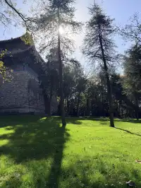 南京的梧桐項鍊 是我這輩子都夠不到的浪漫