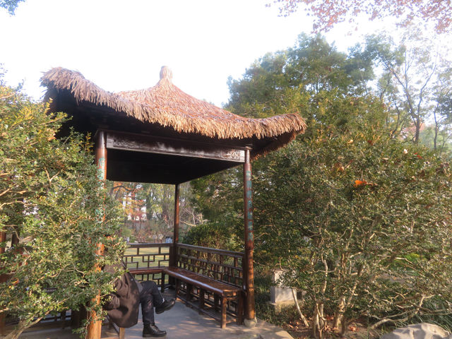 12.08醉白池限定楓葉盛景！12元拍爆江南秋韻