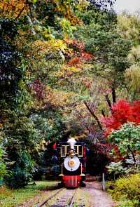 秋日來信,魔都私藏了一座油畫森林!|共青尋色指南