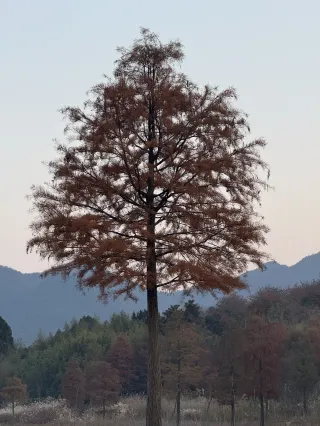 겨울에 잘못 들어선 16:00 닝보 소이리! 절경 (공략 버전