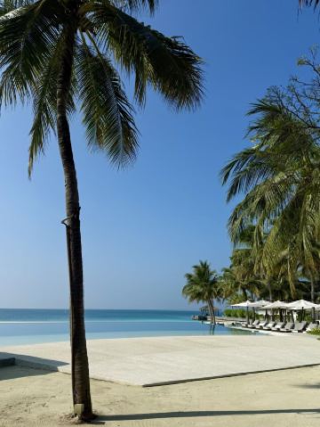 몰디브는 진정 완벽한 휴양지입니다! 수정처럼 맑은 바다, 아름다운 수상 빌라까지, 모든 사진이 예술 작품 같아요! 최고의 경험으로 가득한 저의 완벽한 몰디브 여행 가이드를 소개합니다!