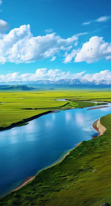 삼강의 근원을 찾아 야생에 거하다