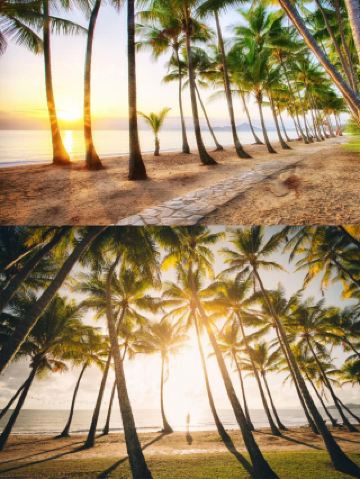 케언스 여행 필수 30가지 완벽 가이드