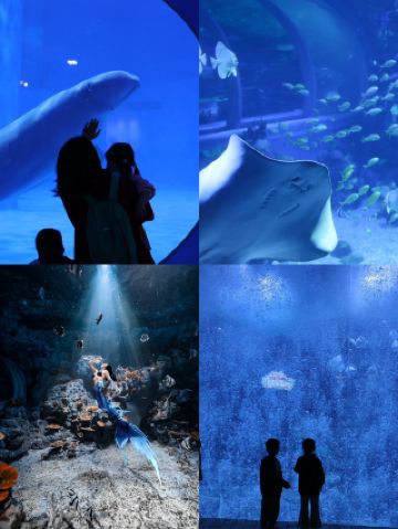 Linyi Spring Festival Fun Spot for Kids: Qiyang Polar Ocean Kingdom